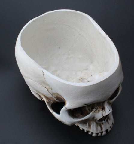 Gothic Skull Resin Planter