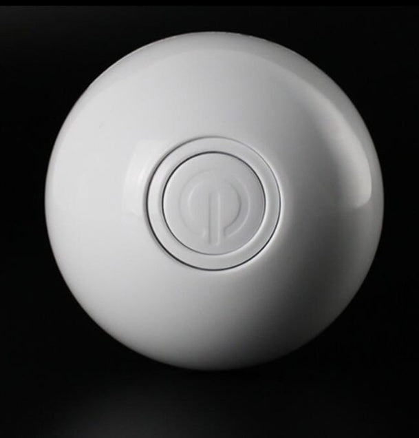 Rechargeable Pet Toy Ball