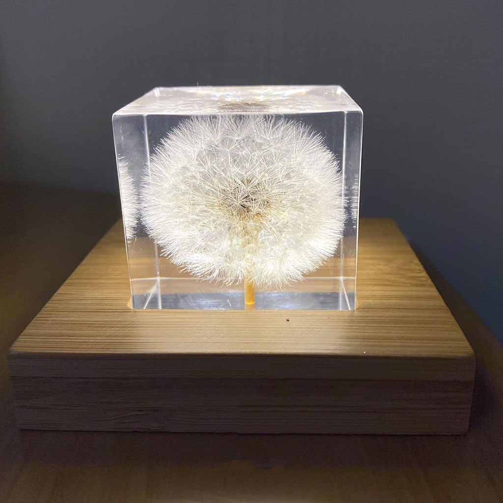 Eternal Dandelion USB Night Light