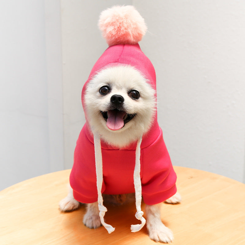 Cozy Cotton Blend Pet Hoodie