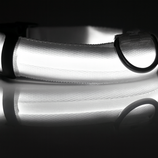 Nylon White LED Light Pet Safety Collar