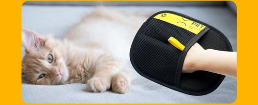 X-Pet Electrostatic Pet Hair Glove