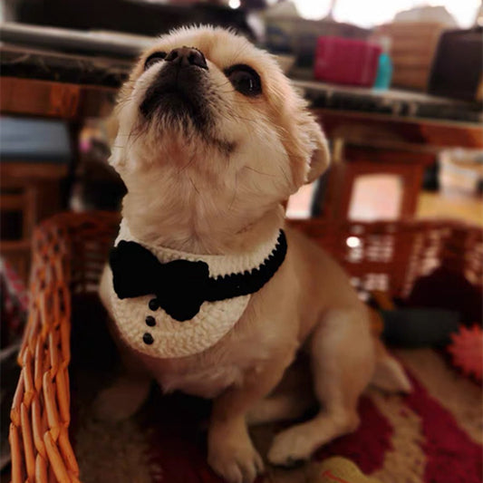 Pet Magician Hat and Knitted Vest