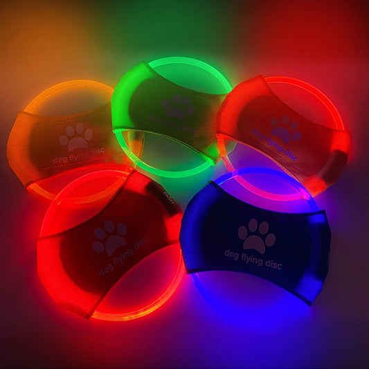 Glowing Frisbee Dog Flying Disc