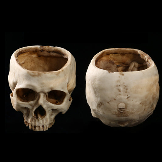 Gothic Skull Resin Planter