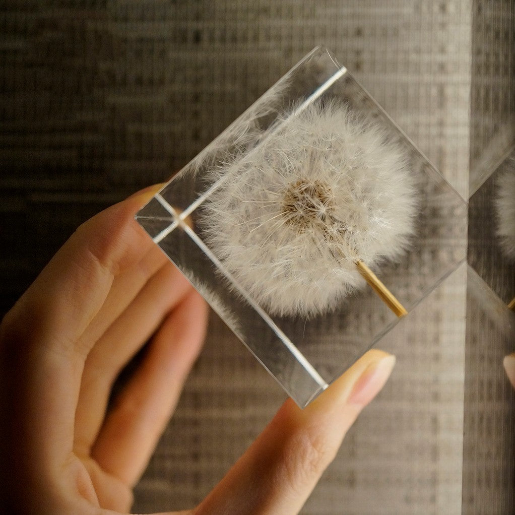 Eternal Dandelion USB Night Light