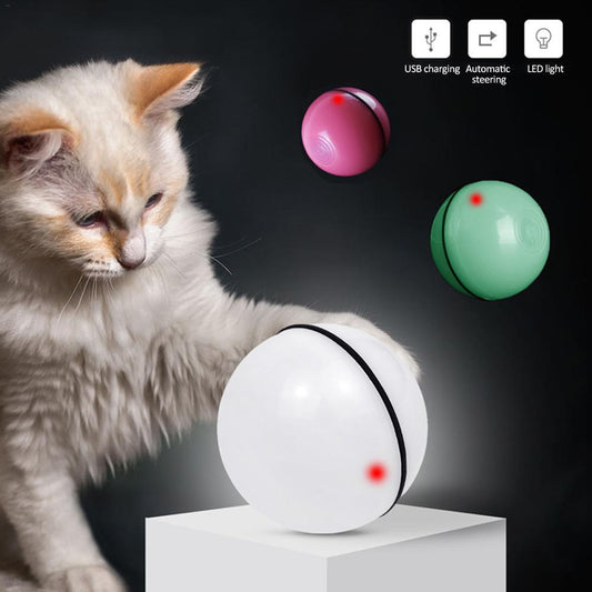 Rechargeable Pet Toy Ball