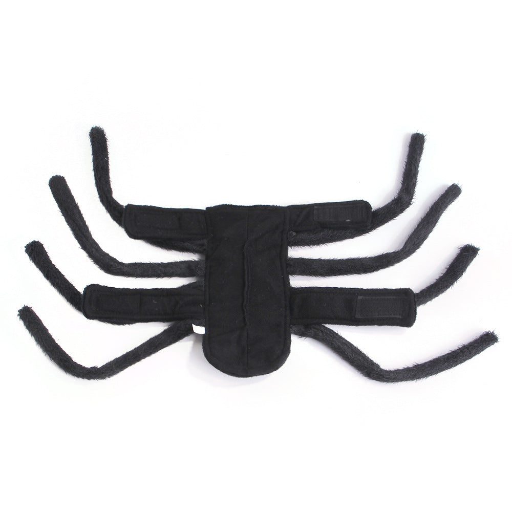Funny Halloween Spider Outfit for Pets