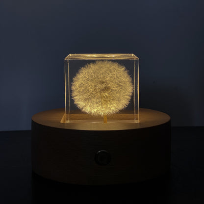 Eternal Dandelion USB Night Light