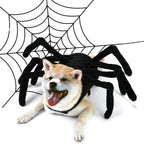 Funny Halloween Spider Outfit for Pets