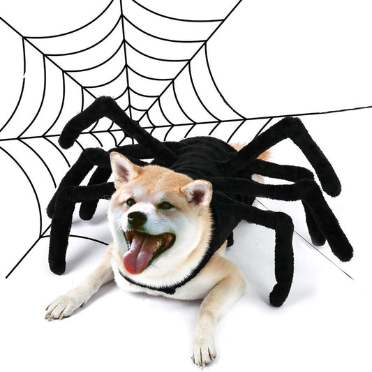 Funny Halloween Spider Outfit for Pets