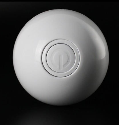 Rechargeable Pet Toy Ball