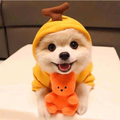 Cozy Cotton Blend Pet Hoodie