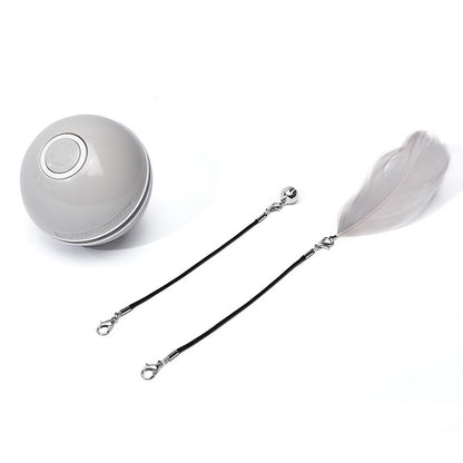 Rechargeable Pet Toy Ball