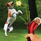 Pet Treat Catapult Launcher Feeder