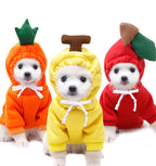 Cozy Cotton Blend Pet Hoodie