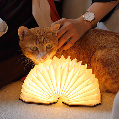 Accordion Folding LED Lamp – Wooden Design