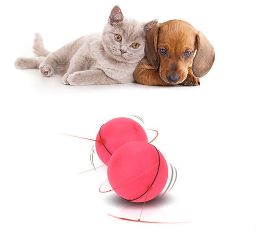 Rechargeable Pet Toy Ball