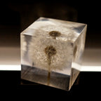 Eternal Dandelion USB Night Light