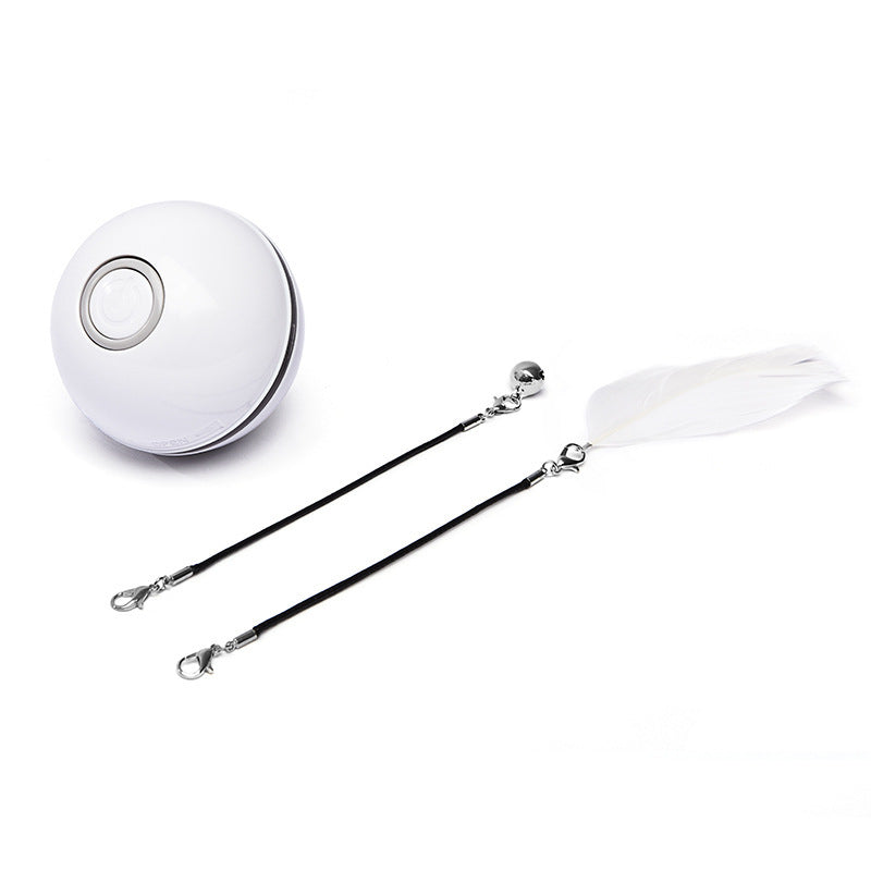 Rechargeable Pet Toy Ball