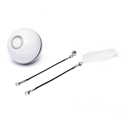 Rechargeable Pet Toy Ball