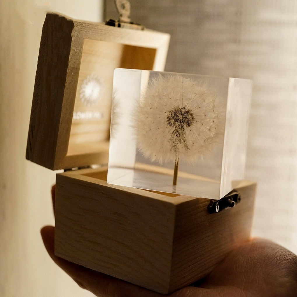 Eternal Dandelion USB Night Light