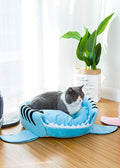 Pets Shark Bed