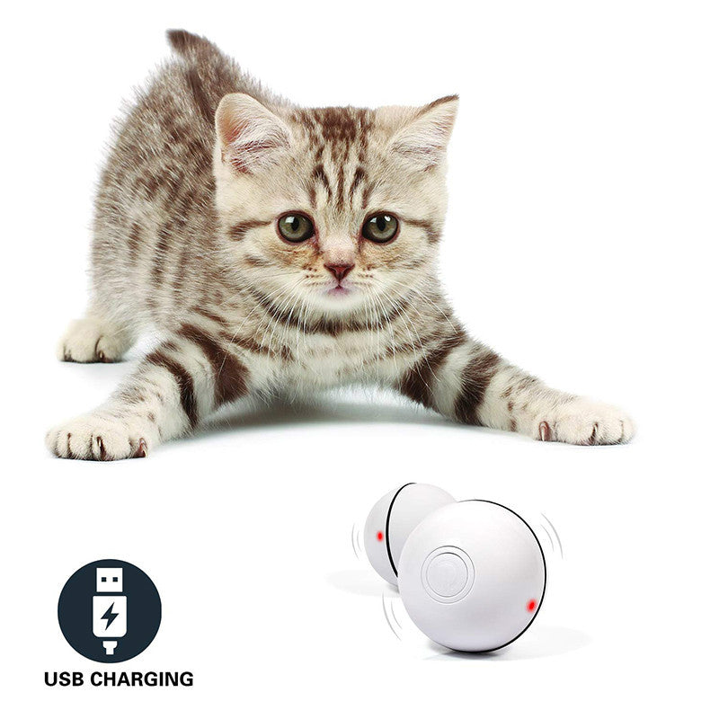 Rechargeable Pet Toy Ball