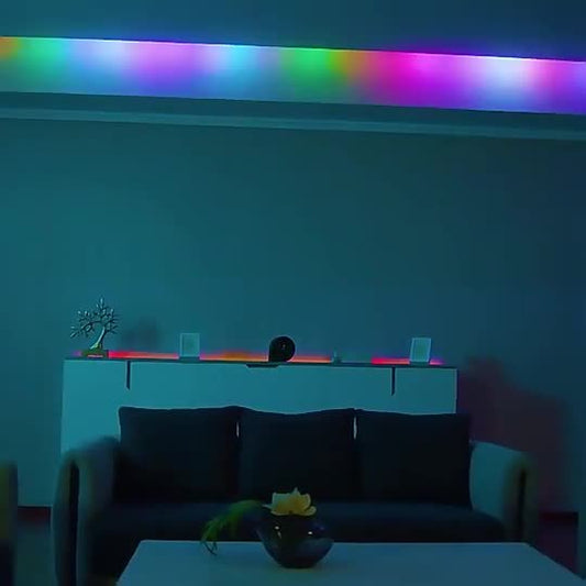 WS2812b RGB Bluetooth USB Light Strip with Remote