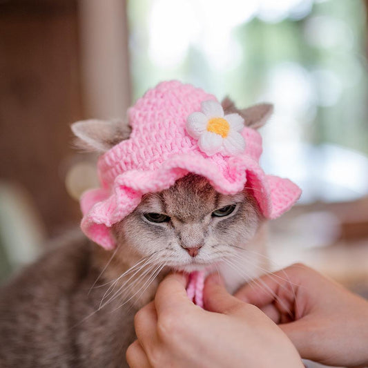Silly Knit Pet Cosplay Cap