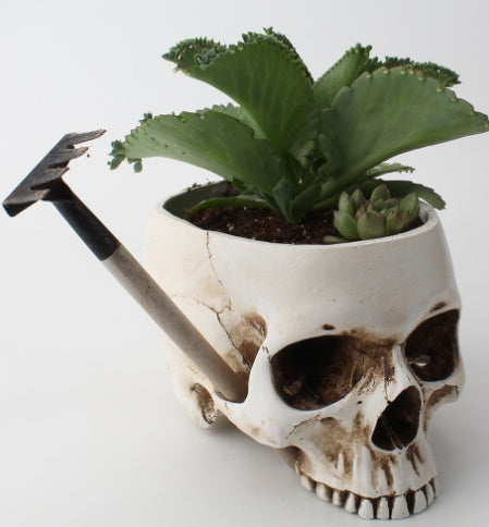 Gothic Skull Resin Planter