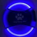 Glowing Frisbee Dog Flying Disc