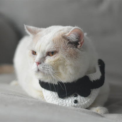 Pet Magician Hat and Knitted Vest