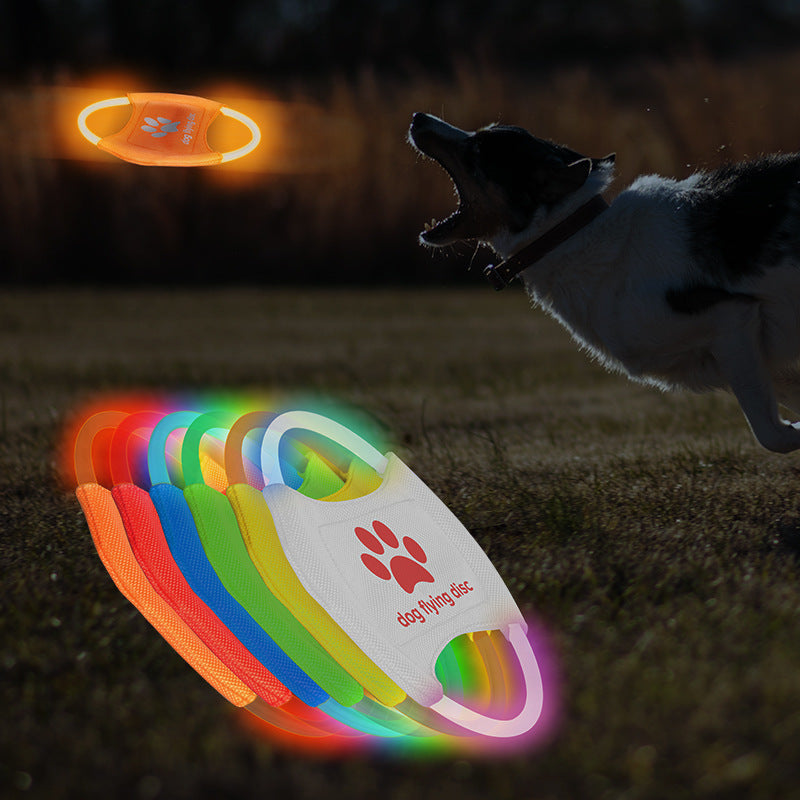 Glowing Frisbee Dog Flying Disc