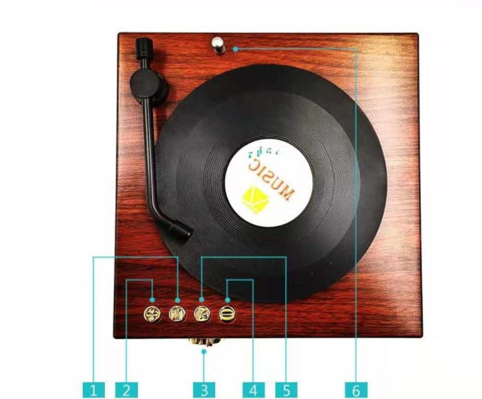 Classic Vinyl-Inspired Bluetooth Speaker With Radio