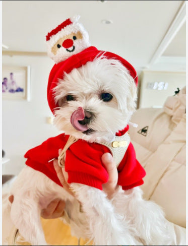 Pet Christmas Day Hoodie