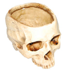 Gothic Skull Resin Planter