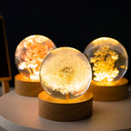 Dandelion & Daisy Floral Light Orb