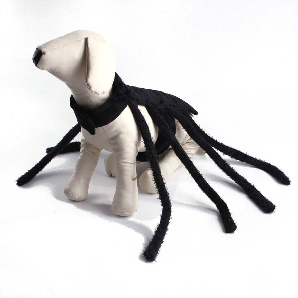 Funny Halloween Spider Outfit for Pets