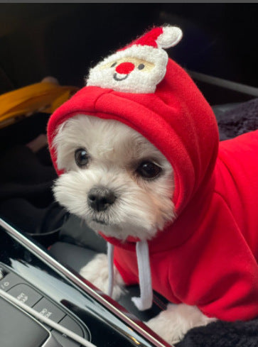 Pet Christmas Day Hoodie