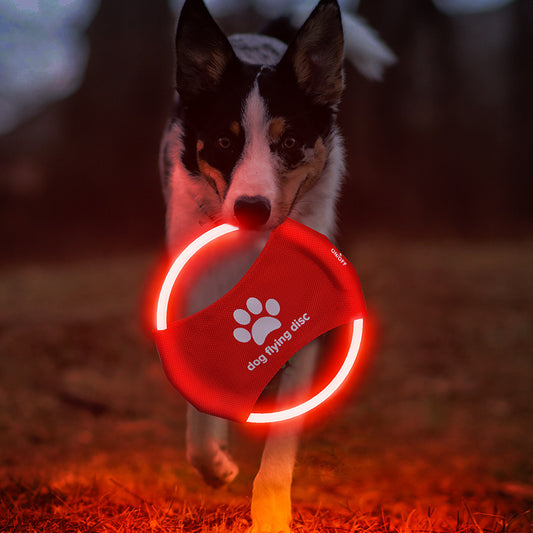 Glowing Frisbee Dog Flying Disc