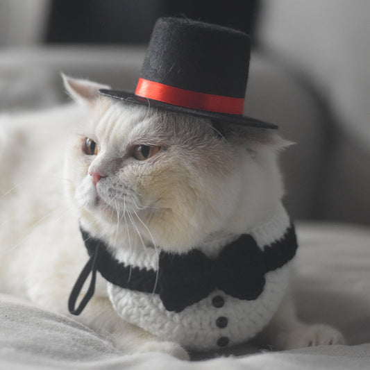 Pet Magician Hat and Knitted Vest