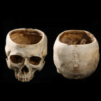 Gothic Skull Resin Planter
