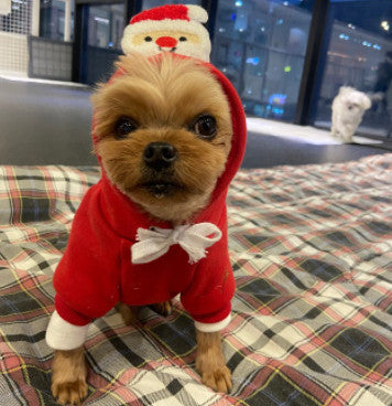 Pet Christmas Day Hoodie