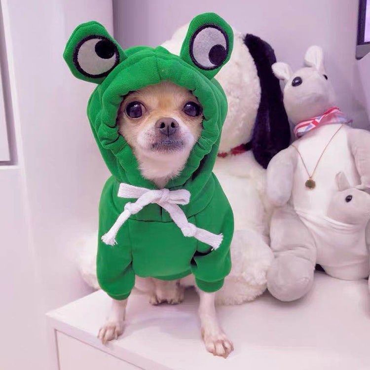 Cozy Cotton Blend Pet Hoodie