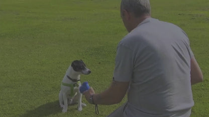 Pet Treat Catapult Launcher Feeder