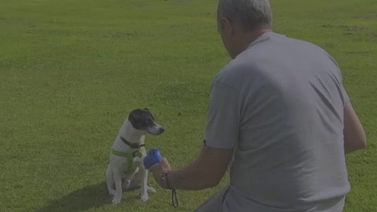 Pet Treat Catapult Launcher Feeder